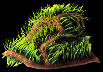 artificial plant