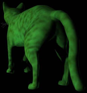 die katze